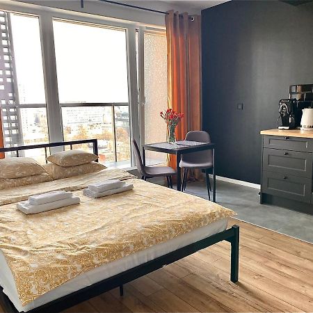 Apartament City Spa - Sokolska 30 Towers カトヴィツェ エクステリア 写真