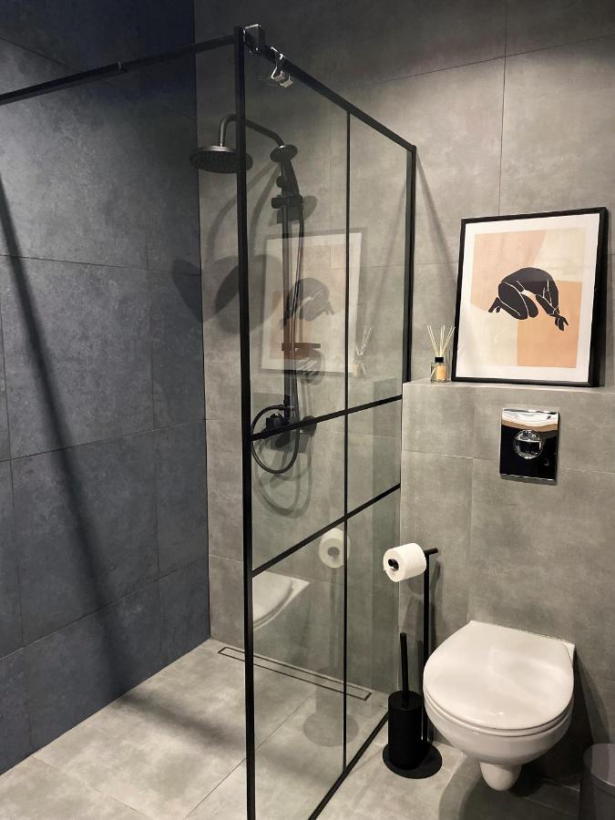 Apartament City Spa - Sokolska 30 Towers カトヴィツェ エクステリア 写真