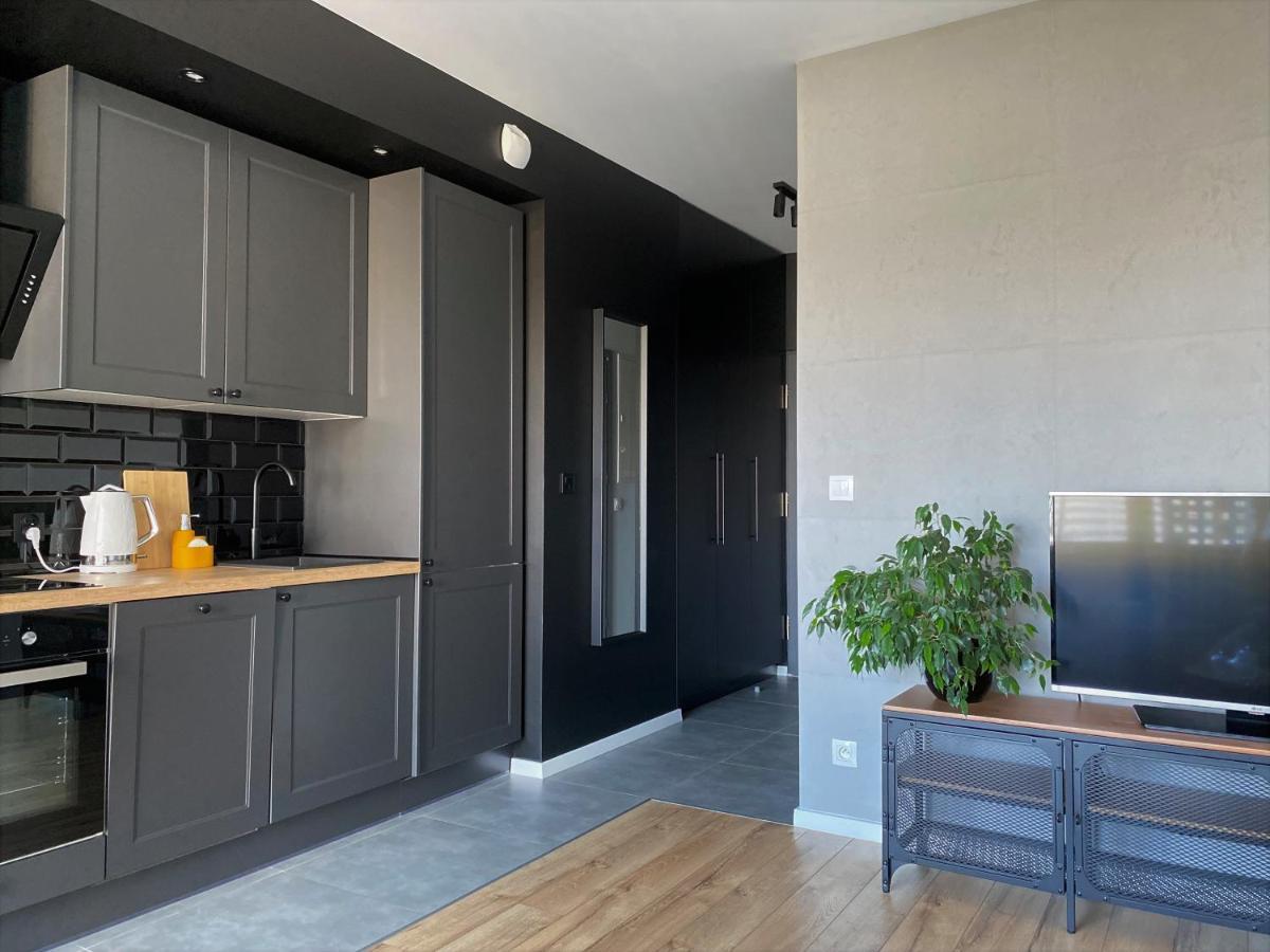 Apartament City Spa - Sokolska 30 Towers カトヴィツェ エクステリア 写真
